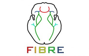 FIBRE logo