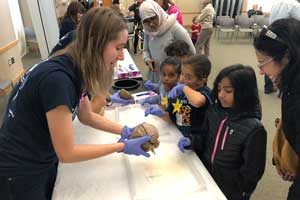 Neuroscience researchers discuss human brain with students