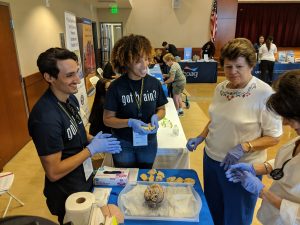 CNLM Ambassadors partner with community to enhance public engagement with science - image of ambassadors sharing UCI brain research with public