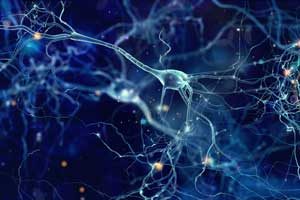 Researchers discover neural patterns key to understanding disorders such as PTSD - Abstract image of neurons