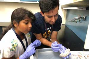 CNLM's Brain Explorer Academy expands young minds - image of student examining human brain in neuroscience research lab