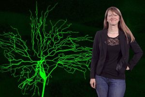 CNLM Fellow Katherine Thompson-Peer Featured as a Rising Star in Neuroscience