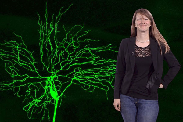 CNLM Fellow Katherine Thompson-Peer Featured as a Rising Star in Neuroscience