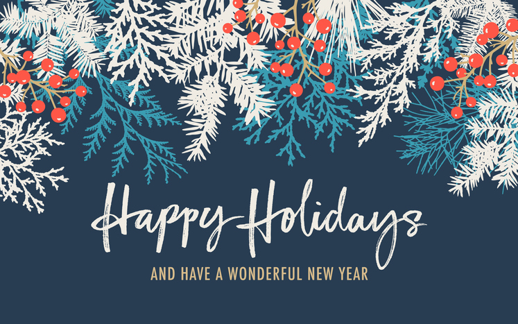 Happy Holidays Center For The Neurobiology Of Learning And Memory 
