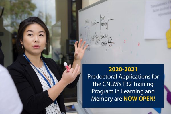 CNLM T32 Training program in Learning and Memory Applications Now Open
