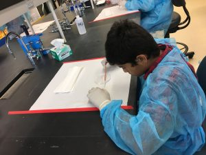 UCI Brain Camp Student Selected to Present Research at International Conference - image of Siddhant Karmali in neuroscience lab at Brain Camp