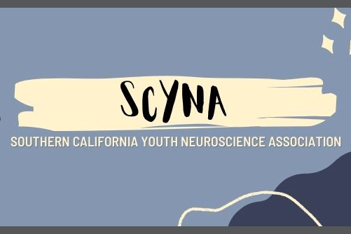 SCYNA Logo