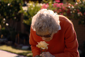 New insights from study of people age 90 and above - Image of senior woman sniffing flower