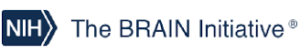NIH Brain Initiative Logo