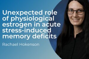 Unexpected role of physiological estrogen in acute stress-induced memory deficits by Rachael Hokenson