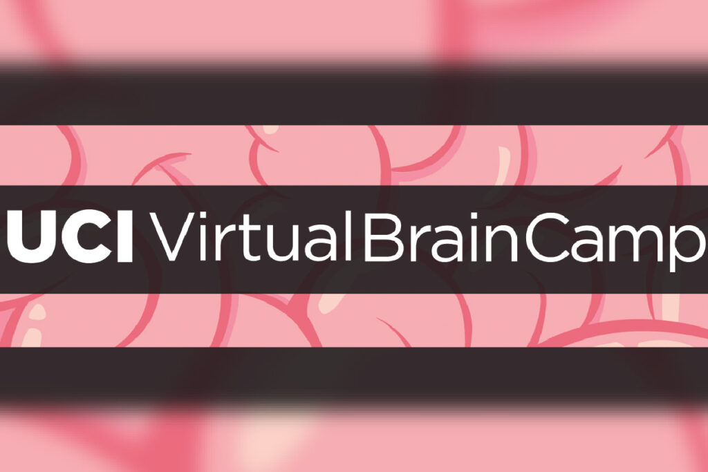 UCI Virtual Brain Camp