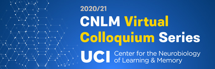 CNLM Virtual Colloquium Series
