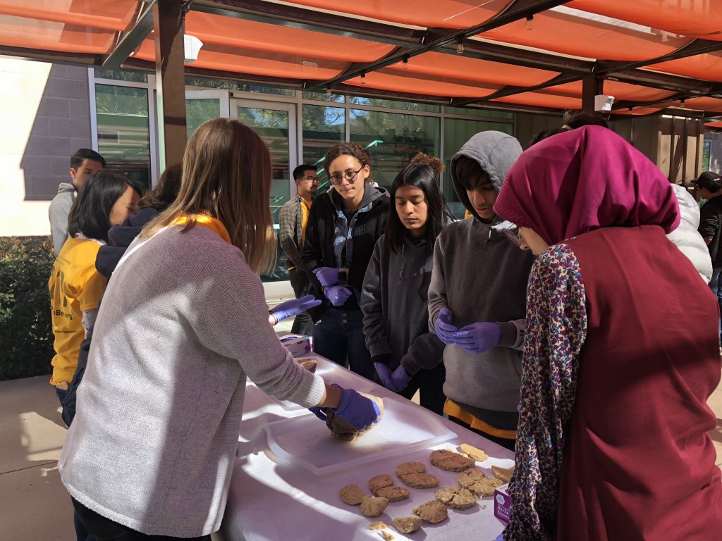 Irvine Brain Bee participants examining human brains