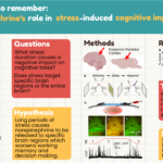 Irvine Brain Bee infographic presenting current neuroscience research in cognitive impairments
