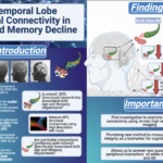 Irvine Brain Bee infographic presenting current neuroscience research in memory decline
