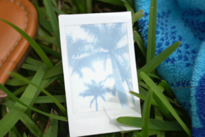 To Remember The Moment, Try Taking Fewer Photos - image of polaroid on grass