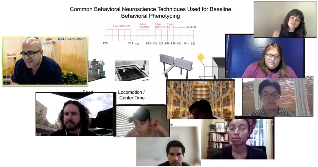 The 2021 Irvine Summer Internship in Neuroscience Program - image of interns on Zoom call discussing Neuroscience techniques, brain research, neuroscience research