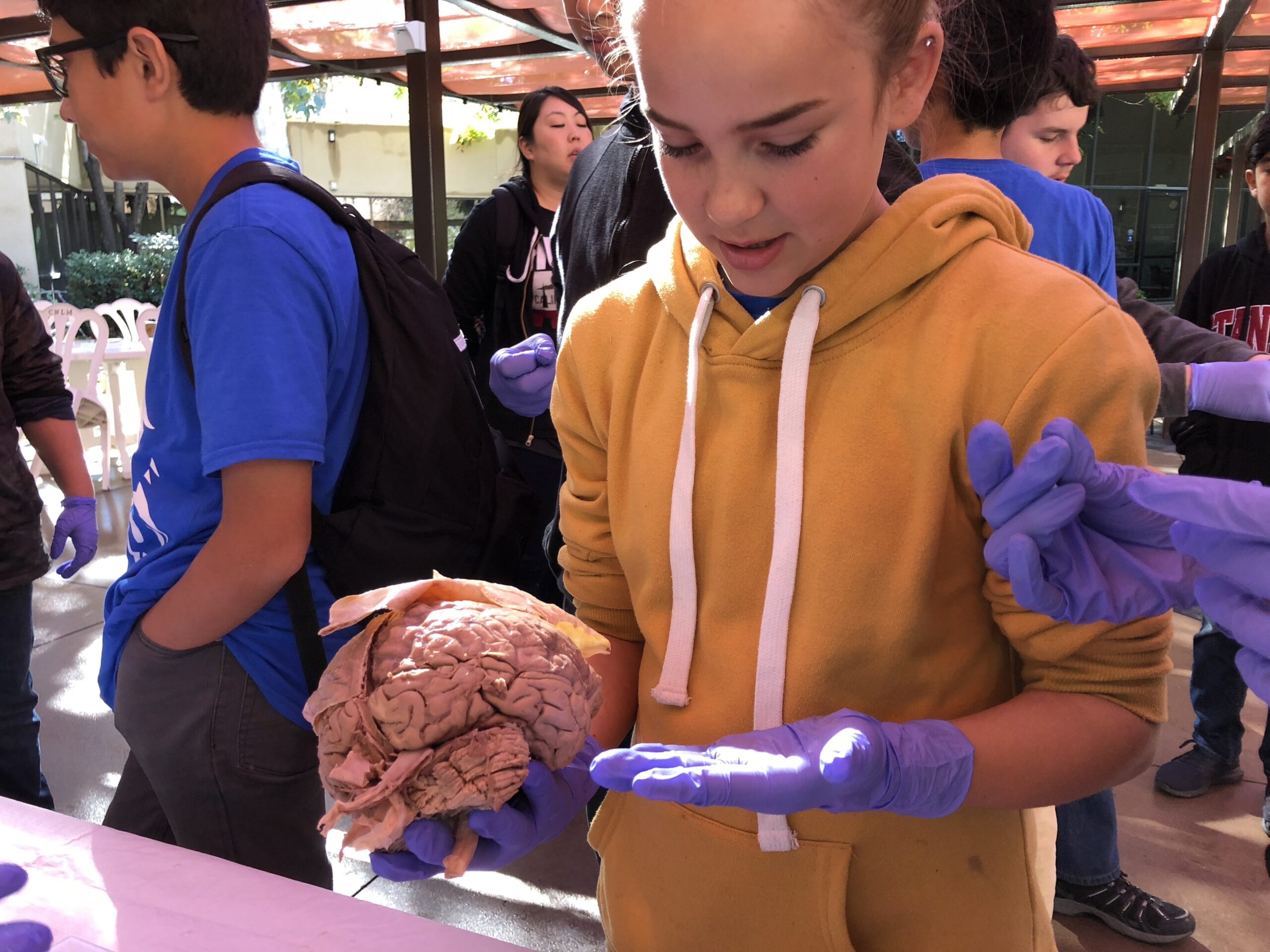 CNLM Earns University Designation as an Organized Research Unit - image of young student holding brain in CNLM Courtyard