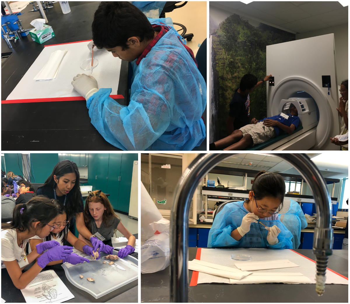 UC Irvine Summer Brain Camp - Registration Now Open! - Images of Brain Camp students conducting brain research with UCI Neuroscience faculty