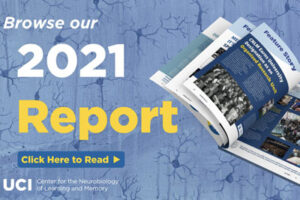 Browse the 2021 CNLM Report - 3D image of the CNLM Annual Report