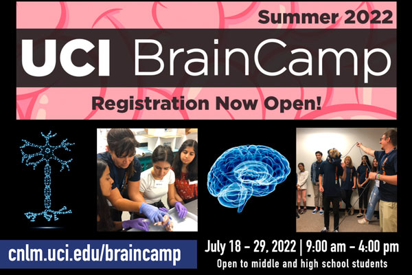 UC Irvine Summer Brain Camp - Registration Now Open! - Brain Campers participating in orange county neuroscience research