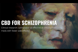CBD for Schizophrenia featuring CNLM Fellow, Daniele Piomelli - Image of water color painting featuring a close up graphic of a face