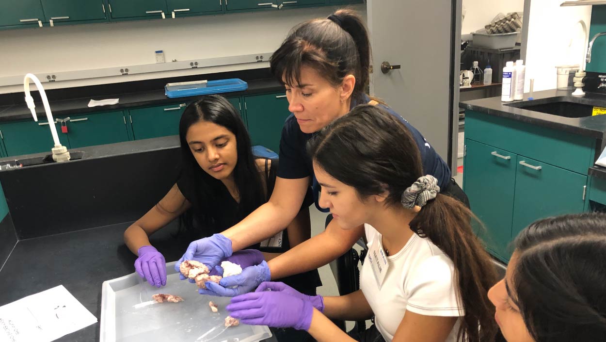 Brain Camp Students disecting a brain at UCI