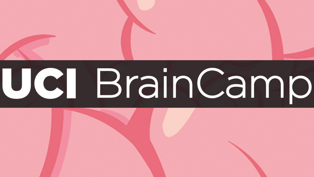 UCI Brain Camp Logo