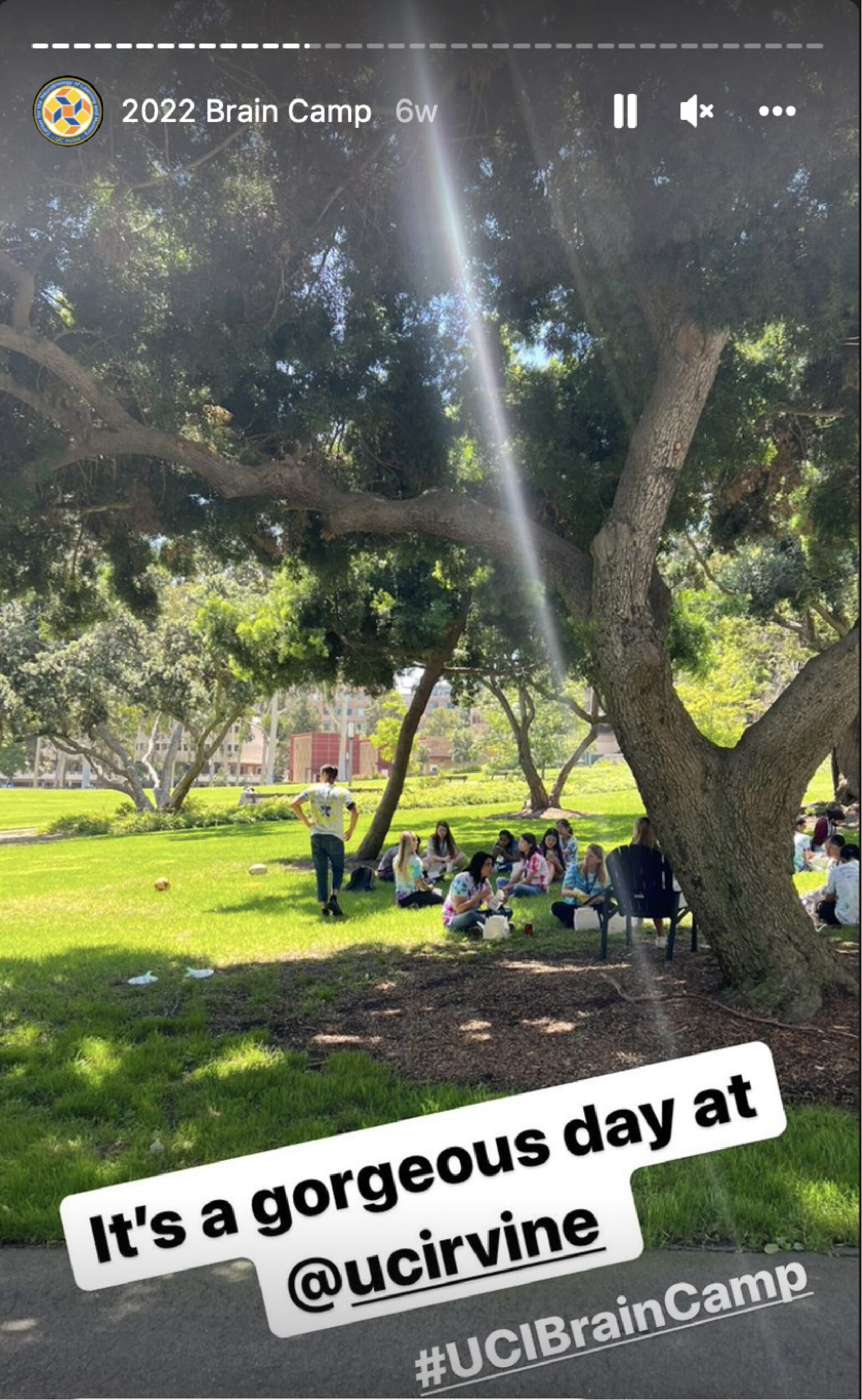 UCI Brain Students relax in Aldrich Park