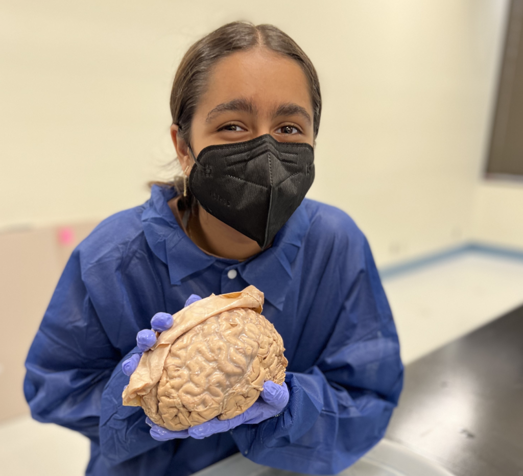 Student holds a brain up to the camera