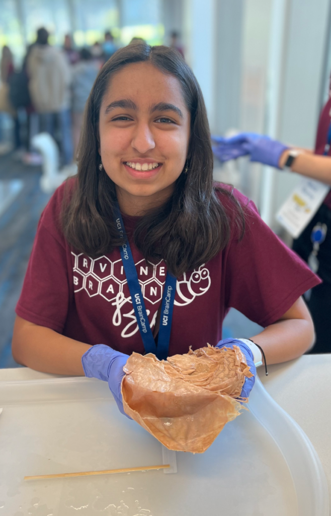 Irvine Brain Bee student holds dissection