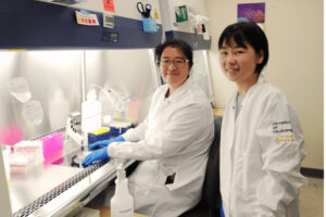 Yuan-Chen Tsai (left) Momoko Watanabe (right) - Postdoctoral fellow is awarded $100,000 to continue study of fragile X syndrome