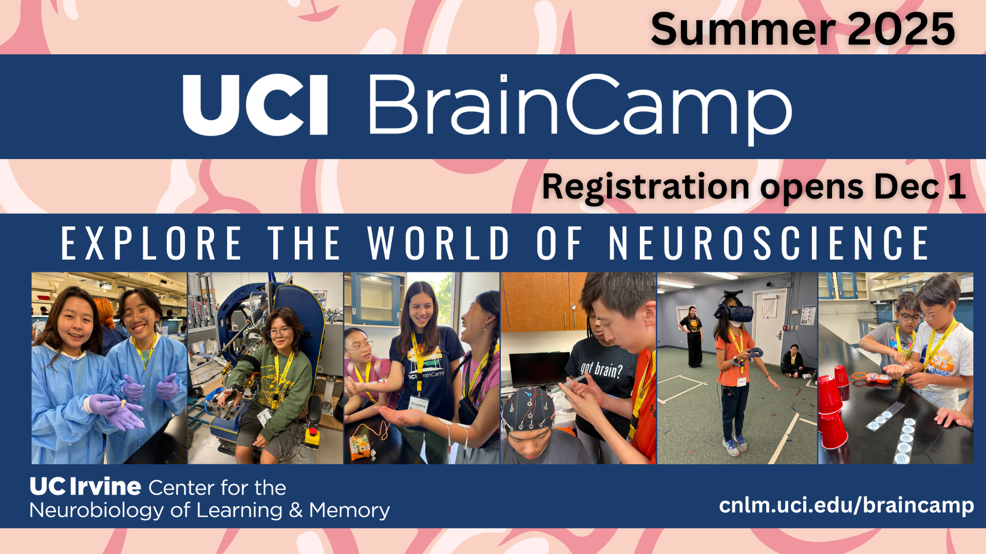 Brain Camp 2024