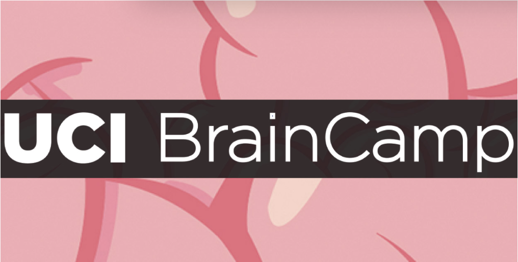 brain camp logo