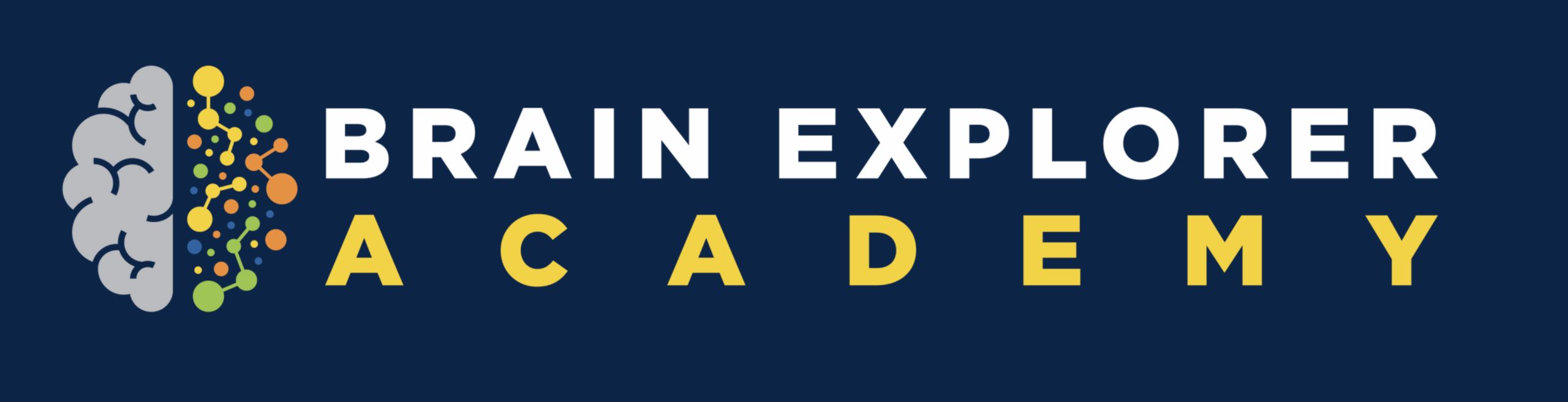 Brain Explorer Academy Logo