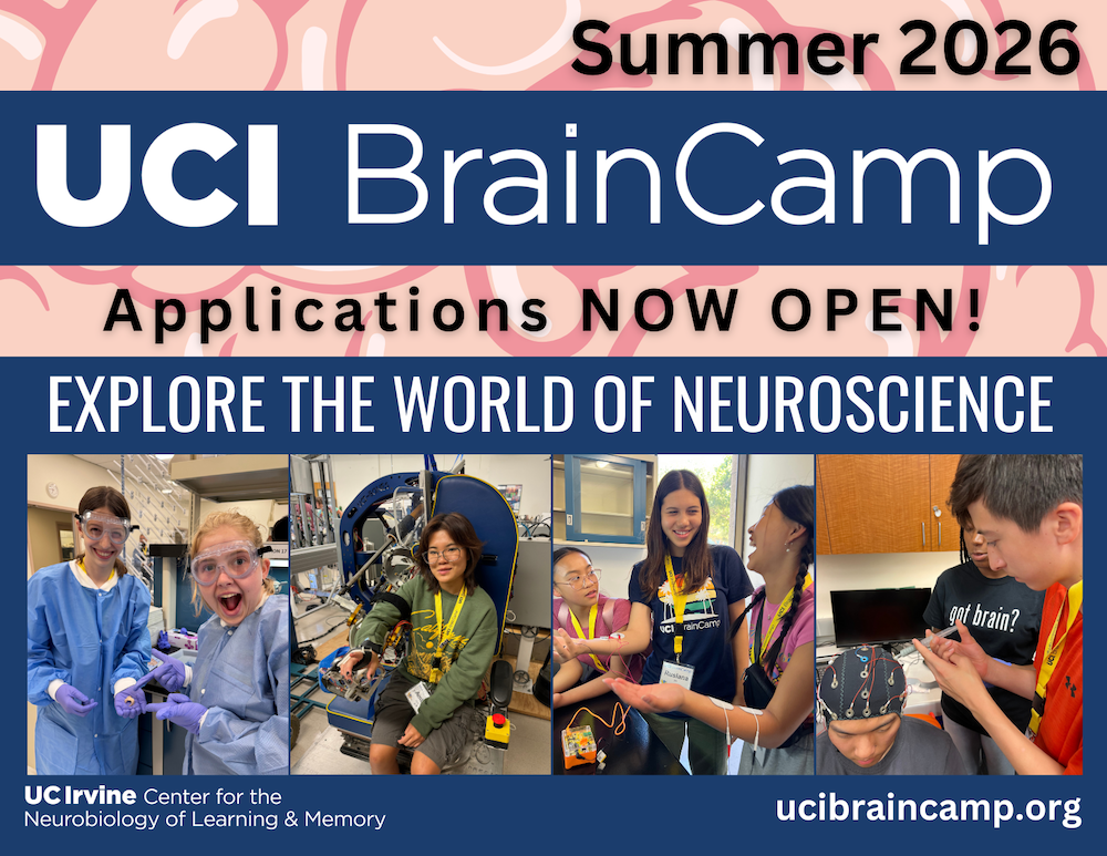 Brain Camp Postcards Brain Camp Postcards
