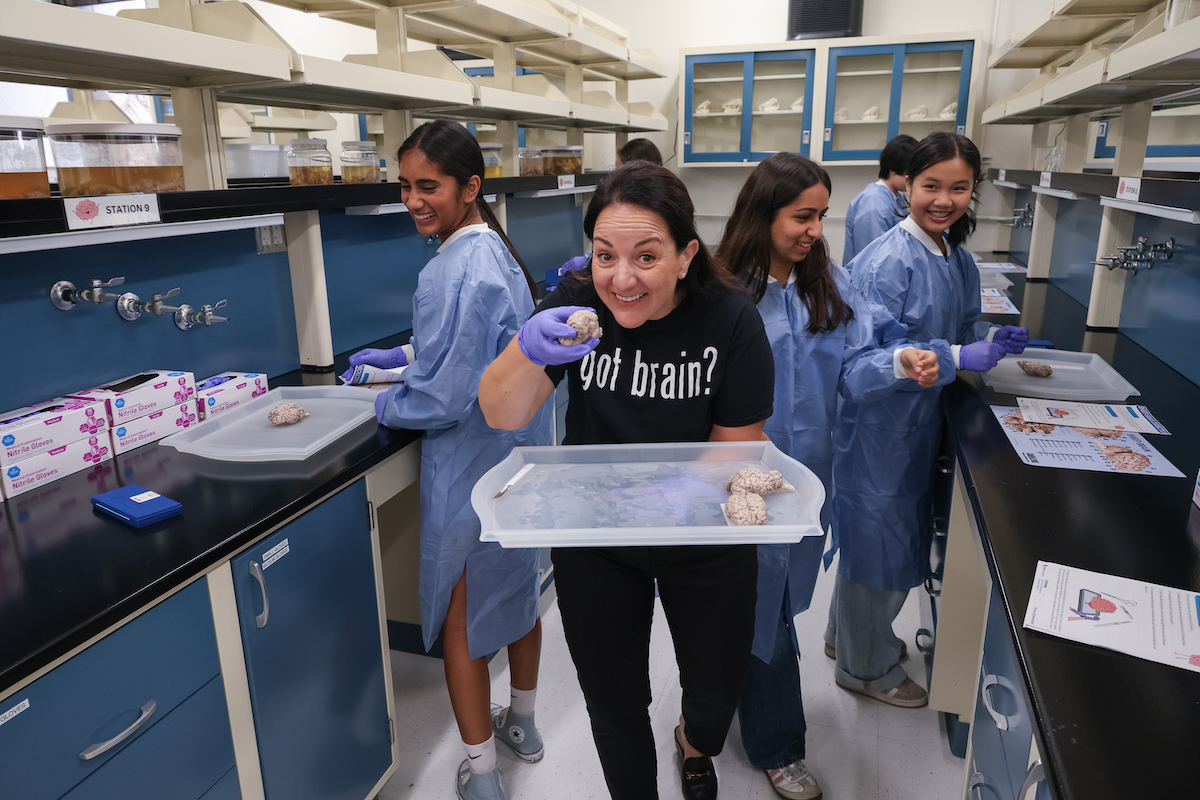 manuella yassa brain