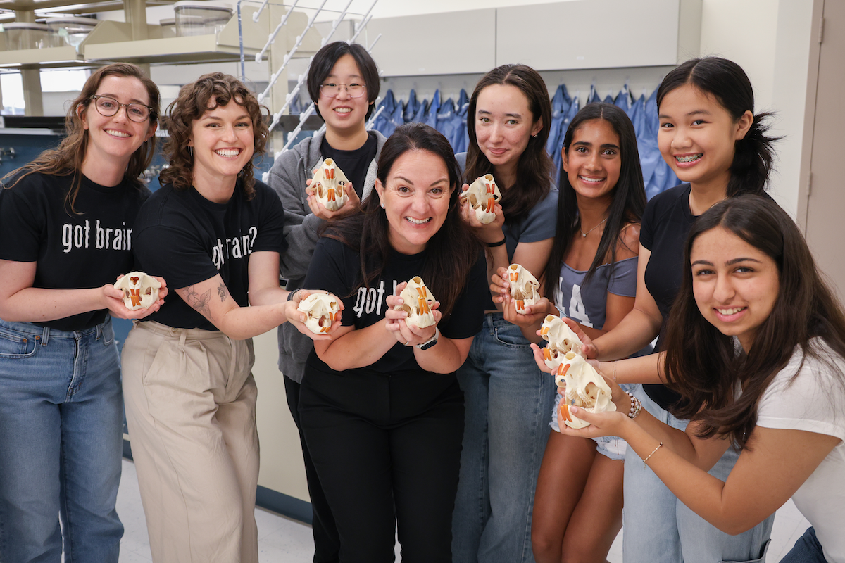 manuella yassa skulls