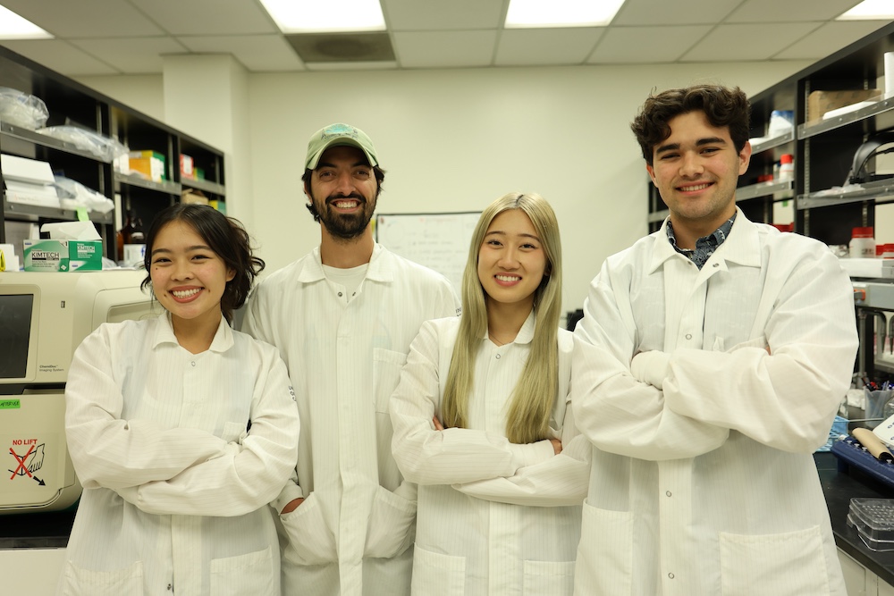 Undergraduate researchers play an essential role in the scientific ecosystem, contributing to discovery while gaining hands-on training in neuroscience. Here, lead author Matthew Sandoval is pictured with his current group of undergraduate research assistants
From left to right: Morgan Sky Lu, Matthew Sandoval, Laura Bui, Gabriel Franchet-Schaer
Photo credit: Thien Pham 