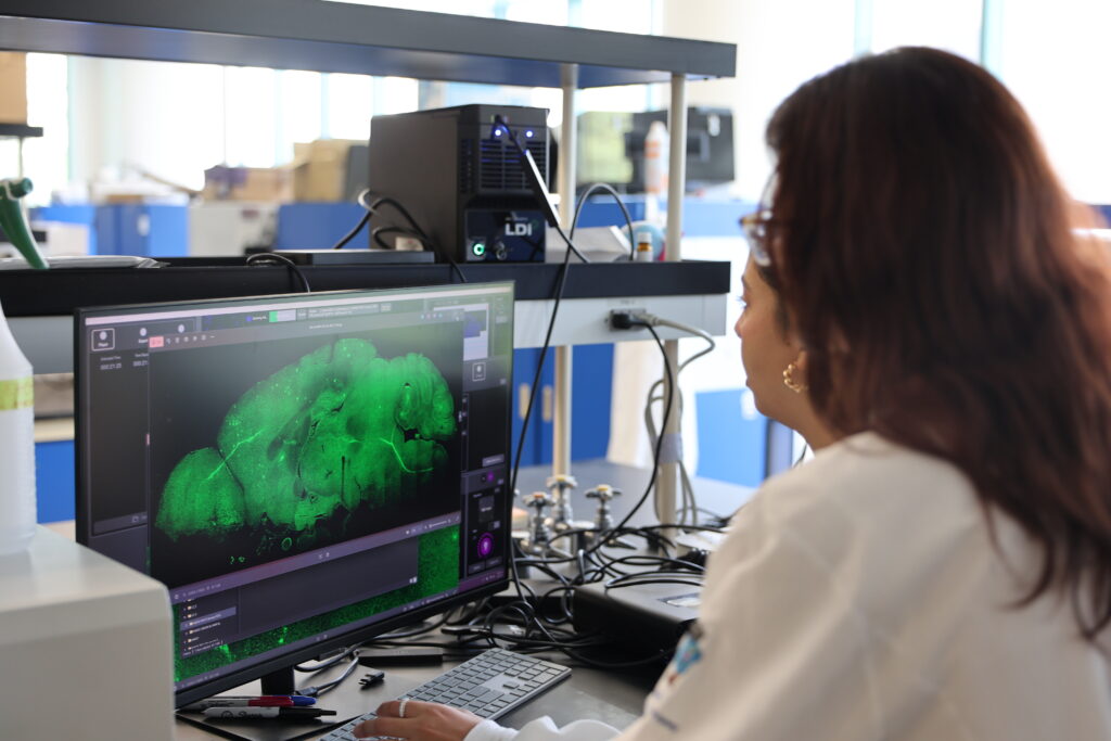 Dr. Susana Furman and Dr. Latifa Zayou looking at a computer image of a brain slice