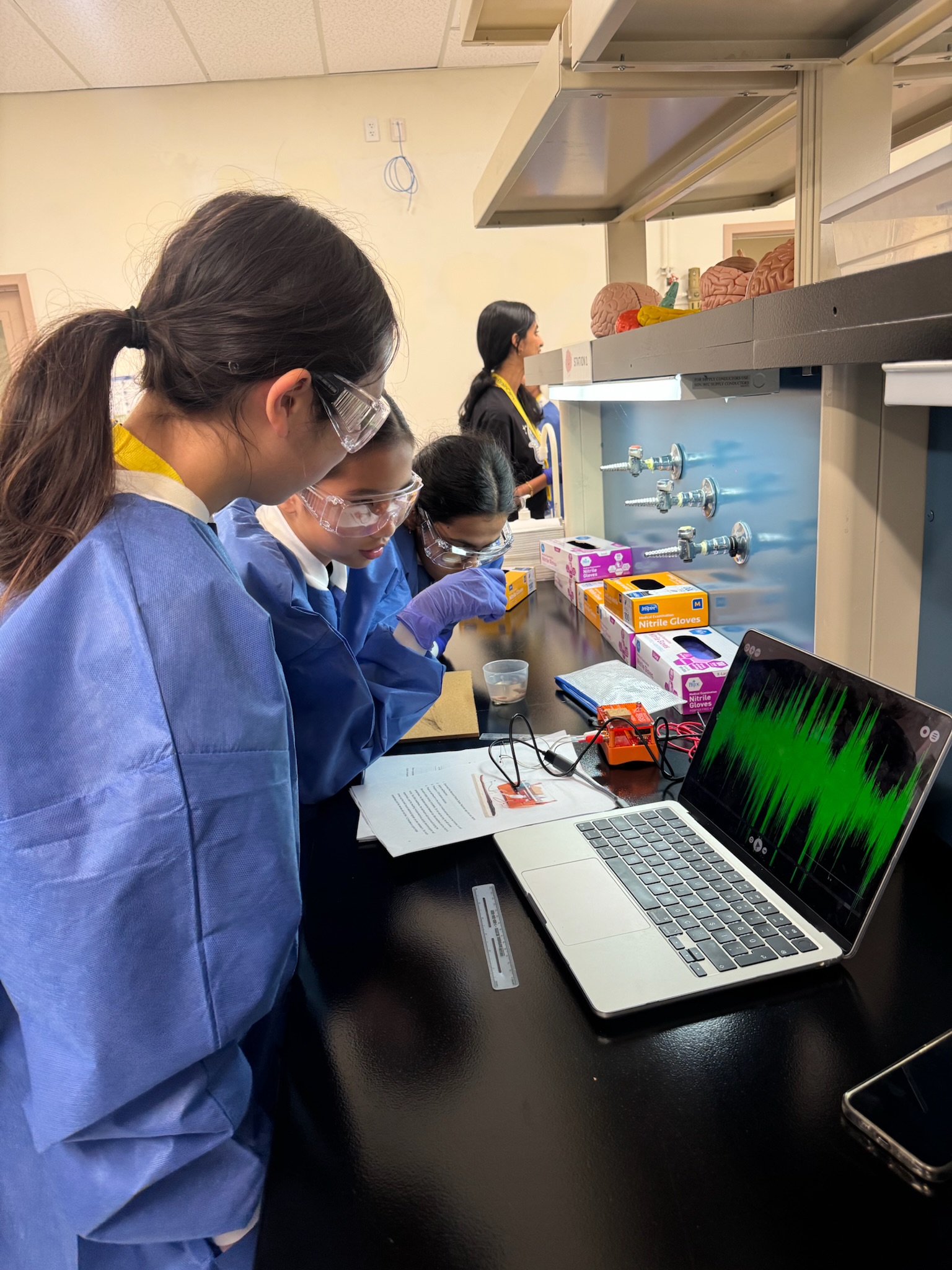 Students using muscle spikers on earth worms