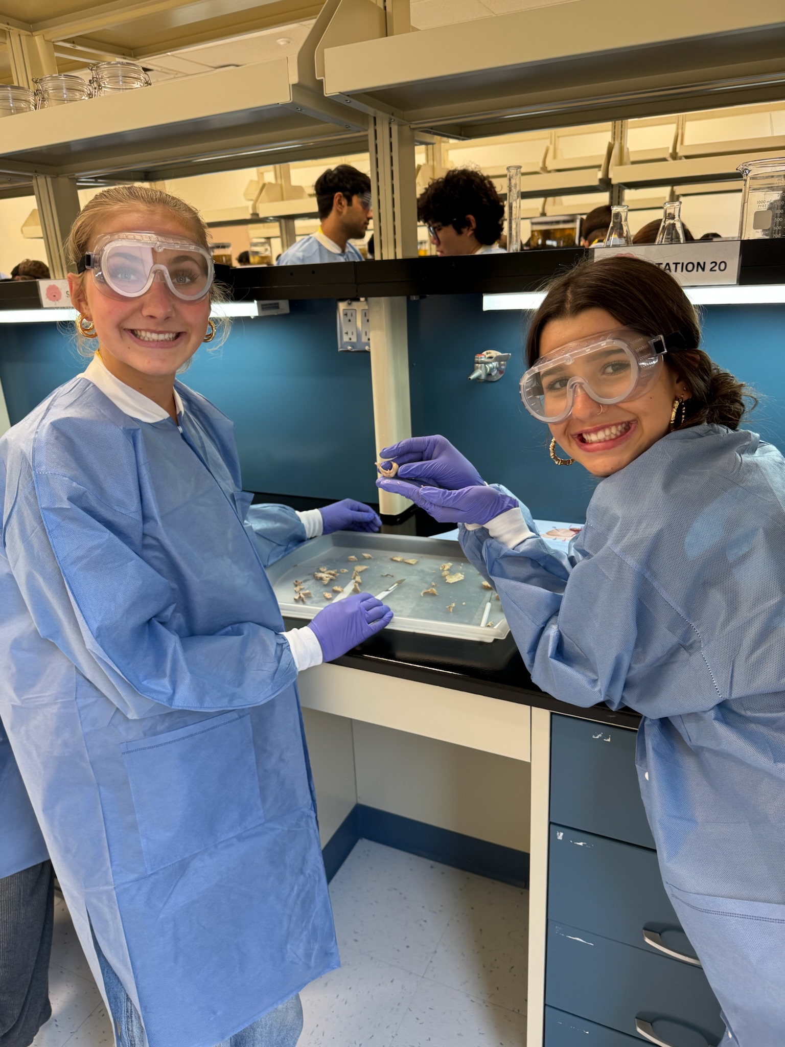 Students in the teaching lab during brain camp