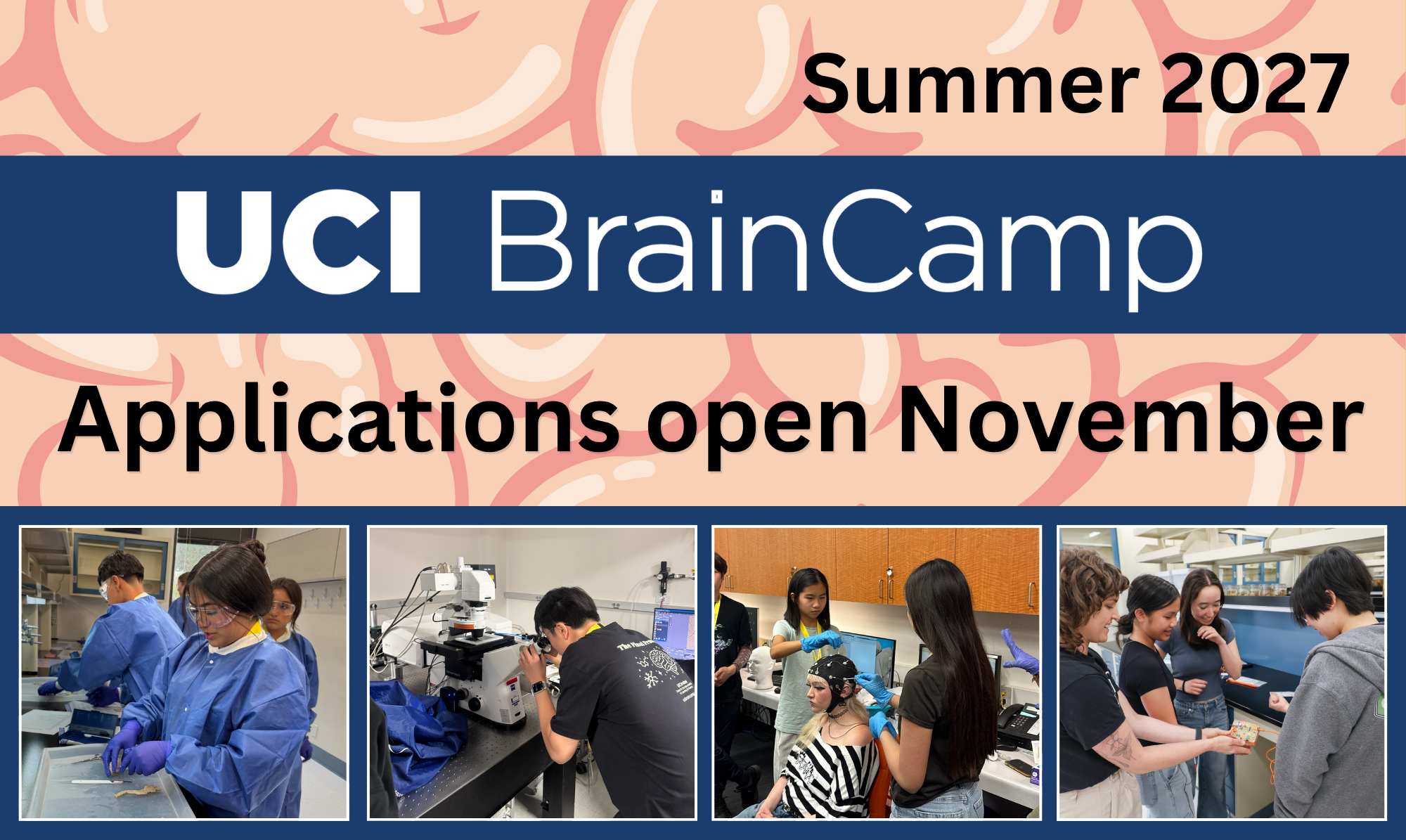 Brain camp banner