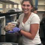 Elizabeth Hubbard holds brain in UCI Neuroscience Research Lab