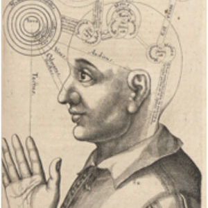 Joint Symposium: Memory and Meaning - image of renaissance neuroscience sketch